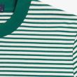 Verde-desportivo